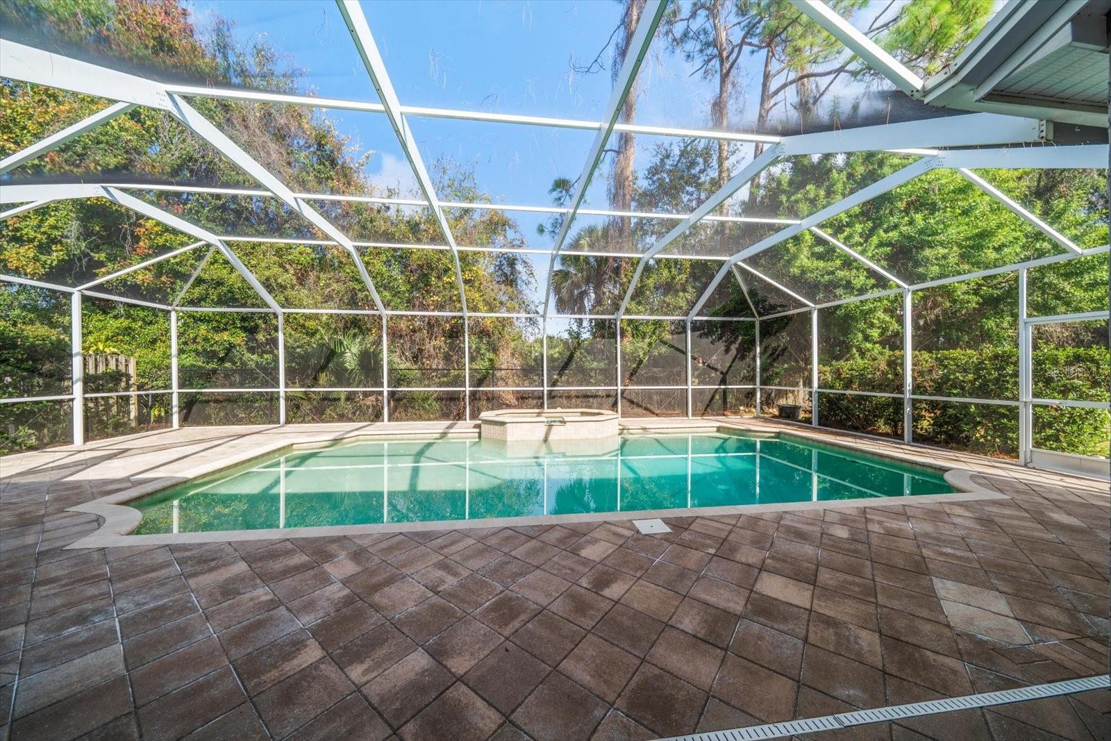 Pool with spacious patio; great for entertaining