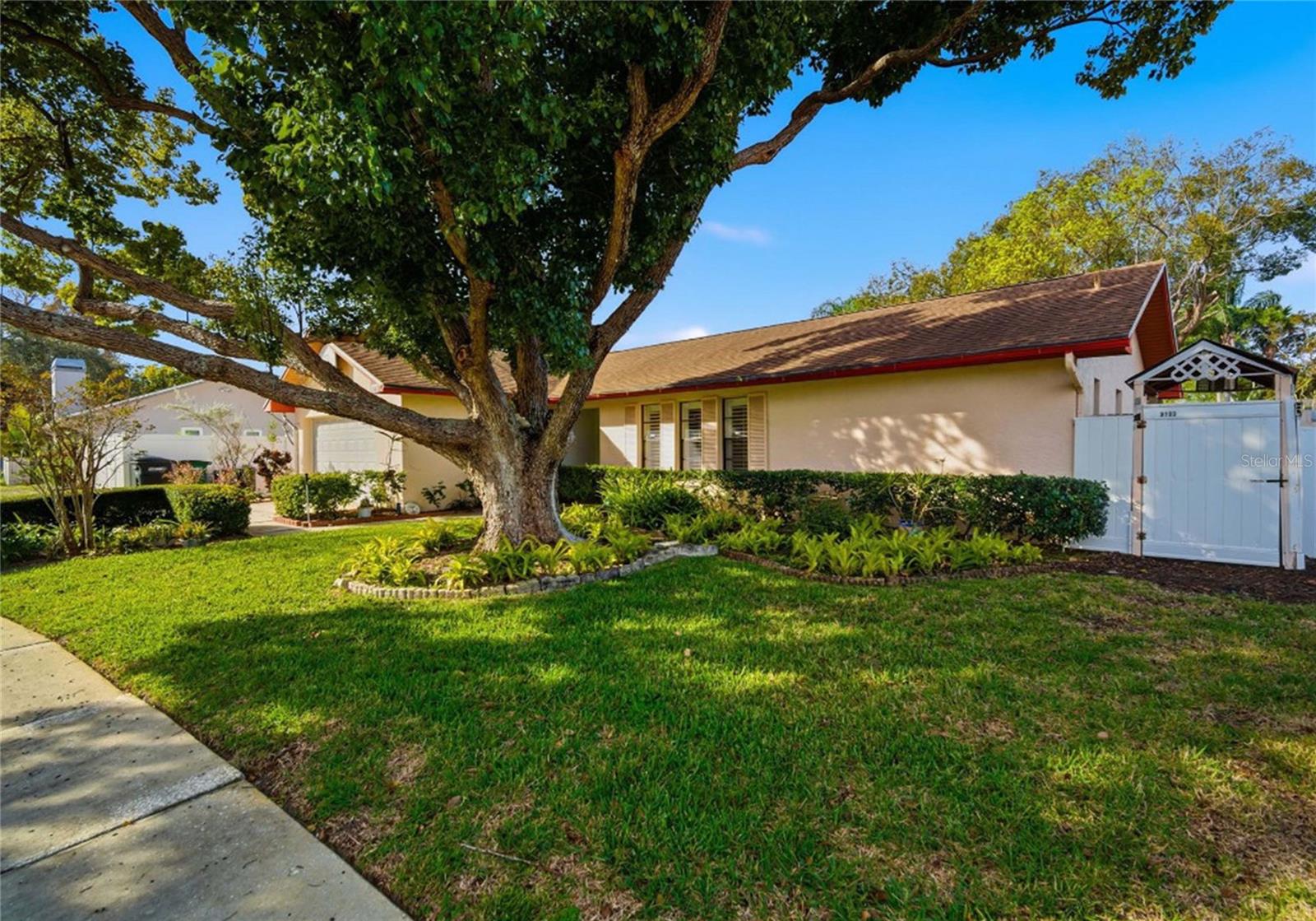 INVITING MATURE LANDSCAPING