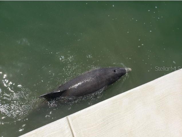 Just another day walking along the seawall walking path