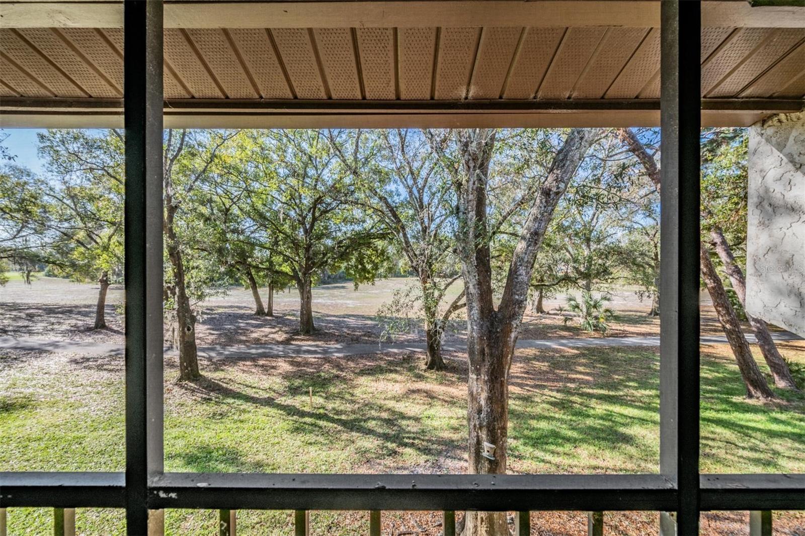 View Golf Course from back screened in Porch