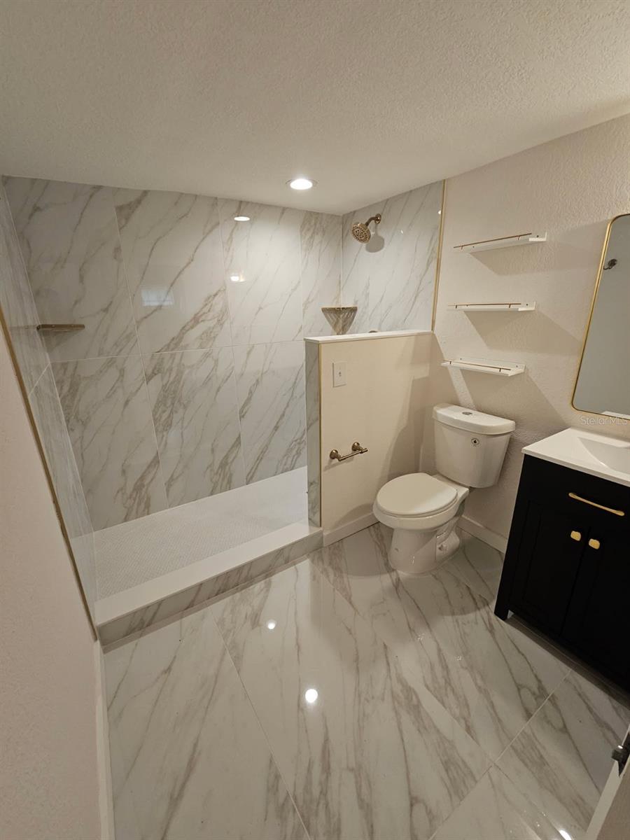 MASTER BATHROOM (BEFORE SHOWER GLASS)