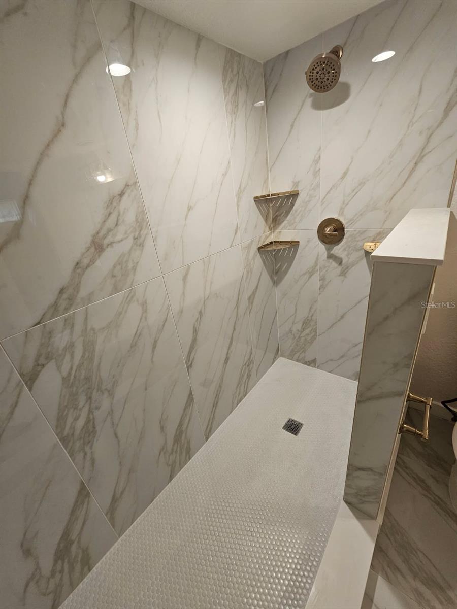 MASTER BATHROOM (BEFORE SHOWER GLASS INSTALLATION)