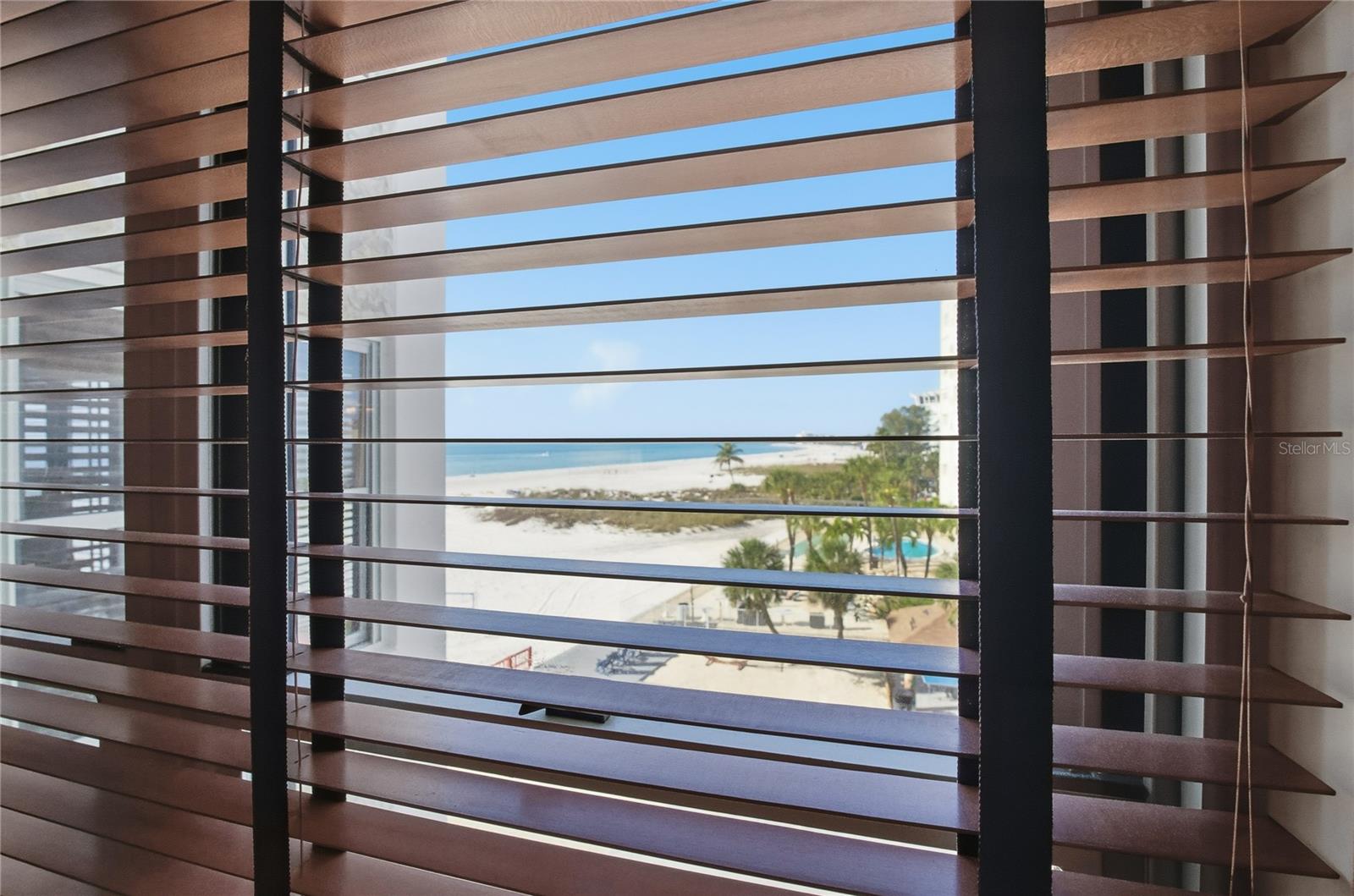 View from Primary suite