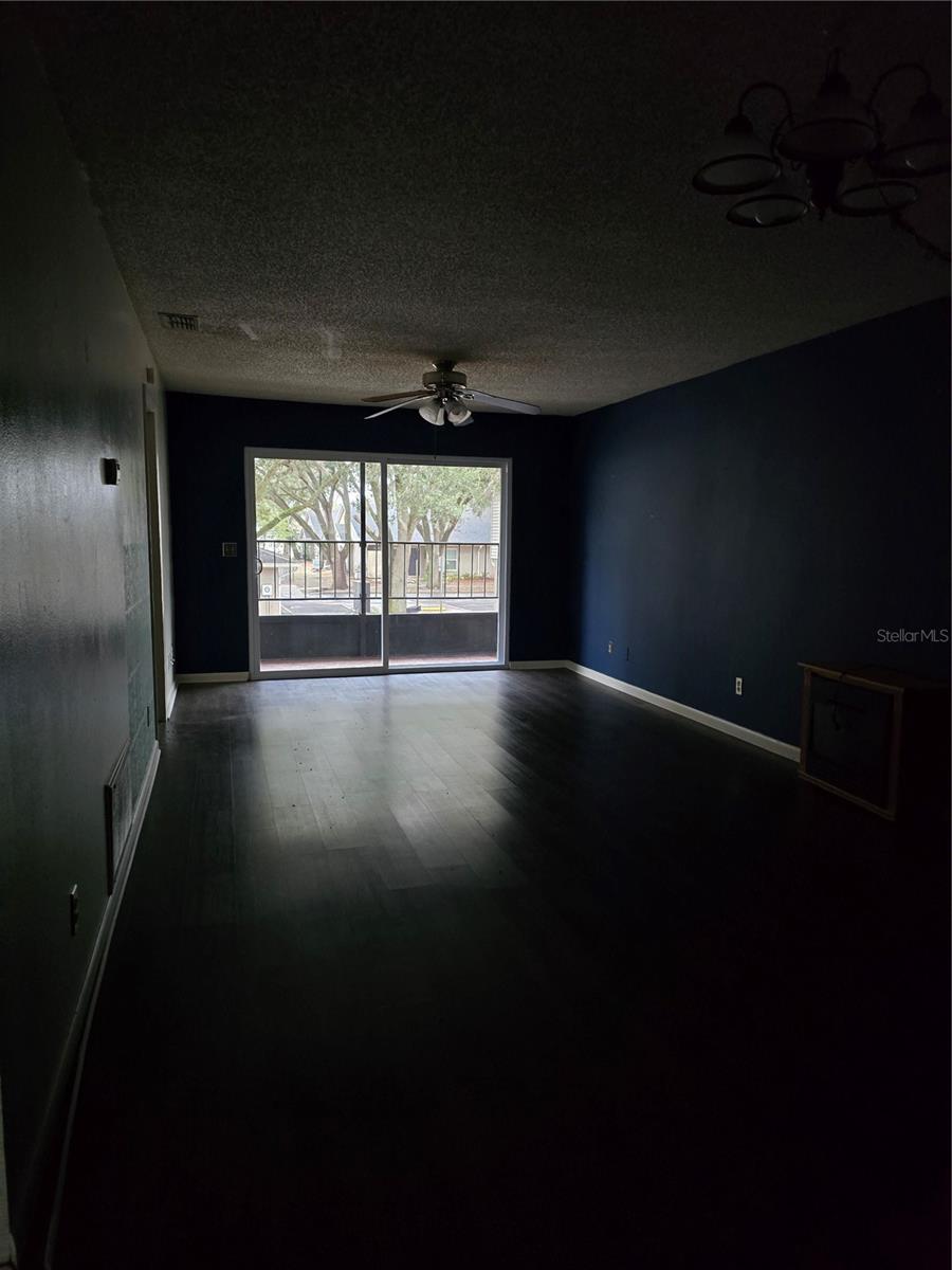 Living ...dining area