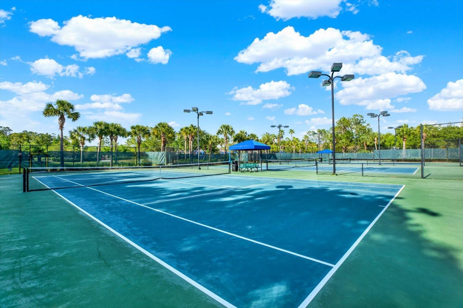 4 tennis courts and 2 pickleball courts