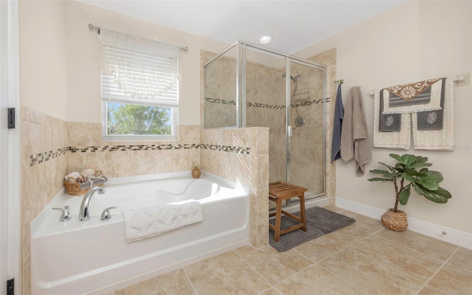 Master Bathroom - Shower & Tub