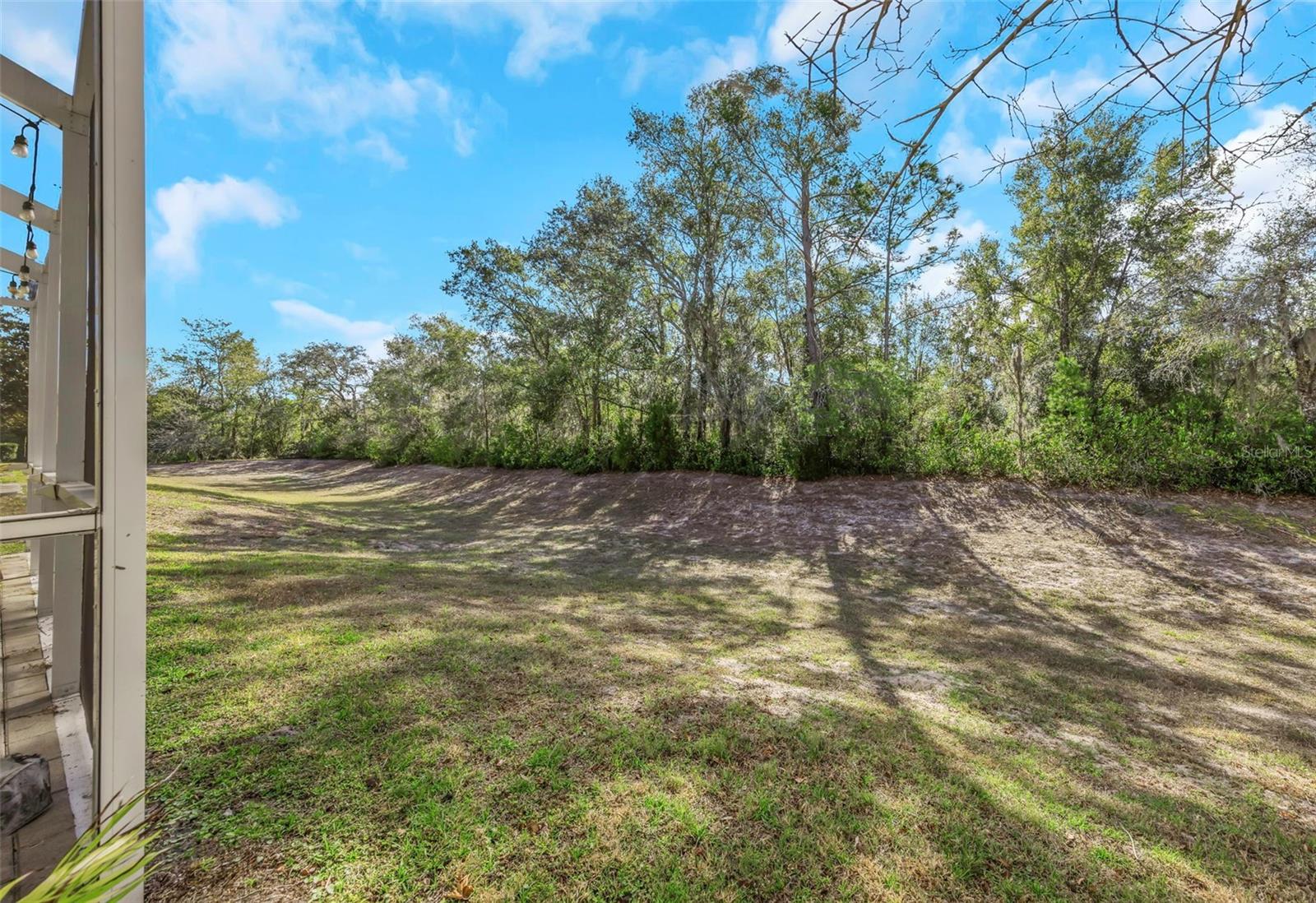 Rear Yard - Reverse View