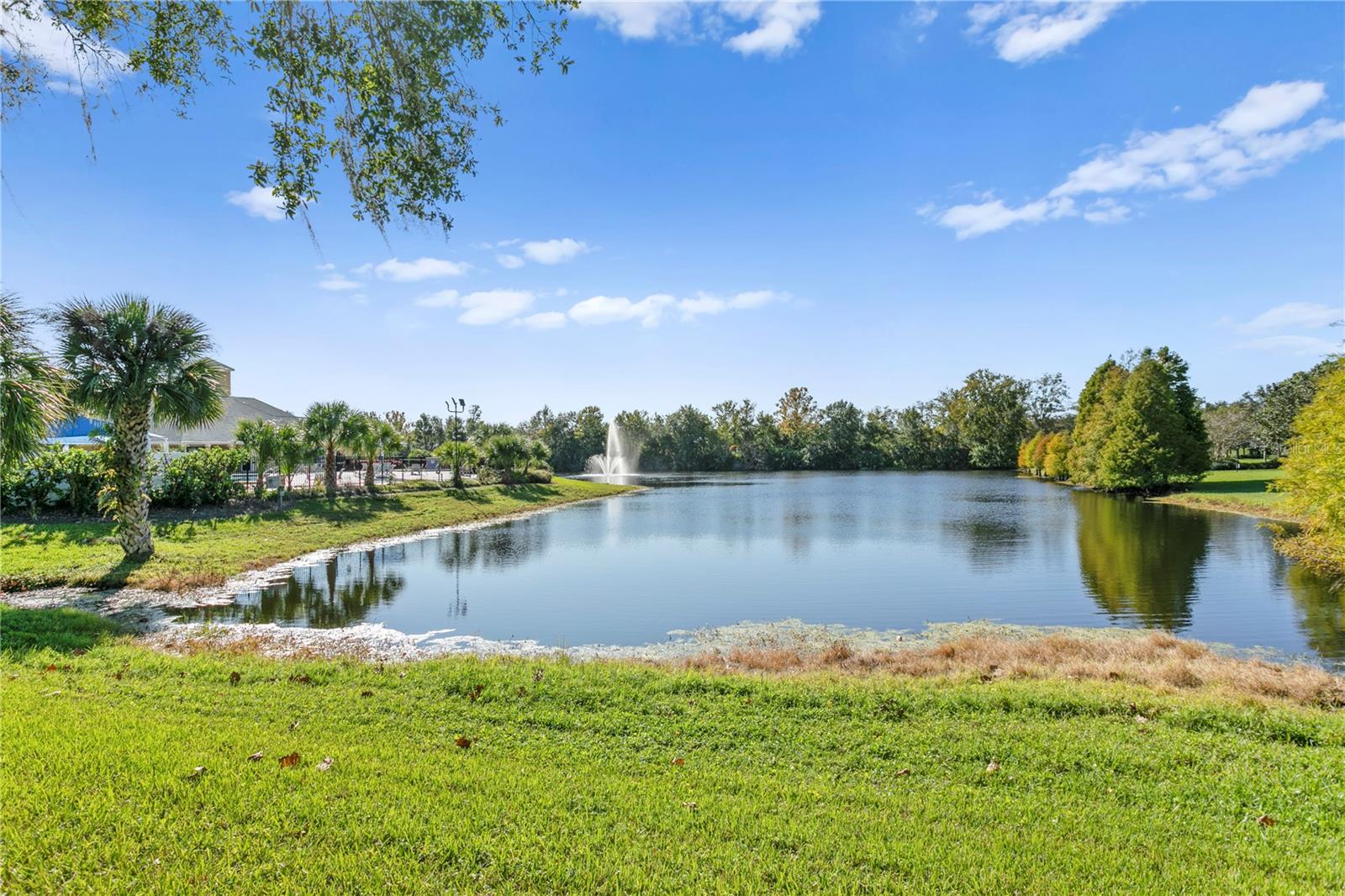 Compton Park - Tampa Palms Amenities