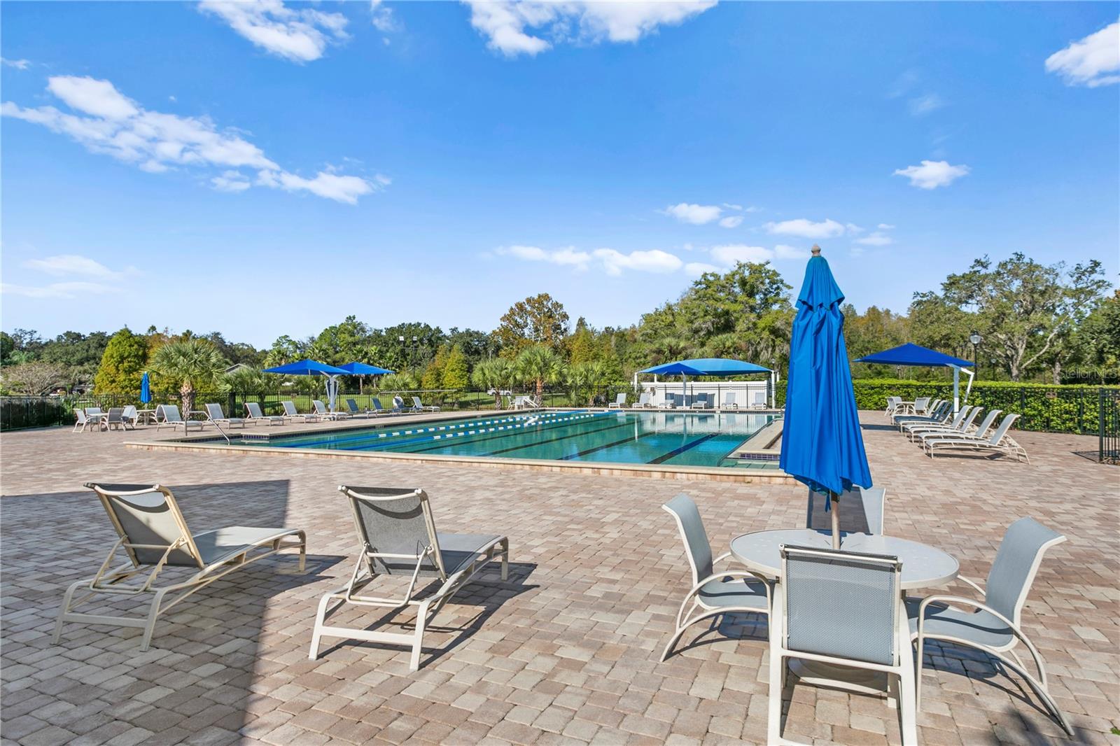 Compton Park - Tampa Palms Amenities