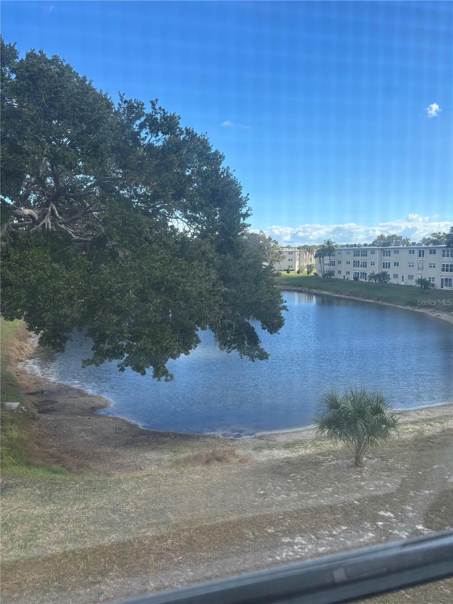 View from back eclosed sunroom.