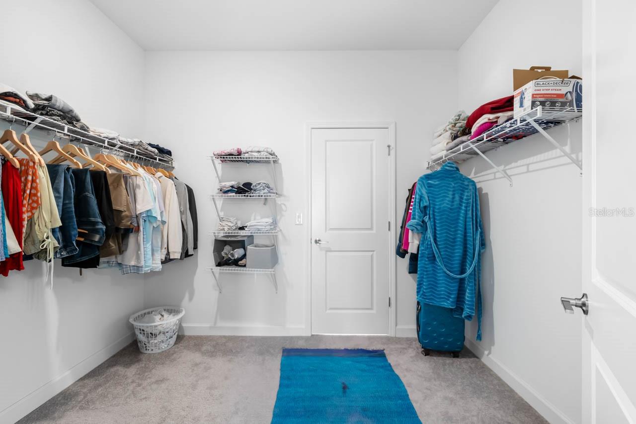 Master Suite showing closet door