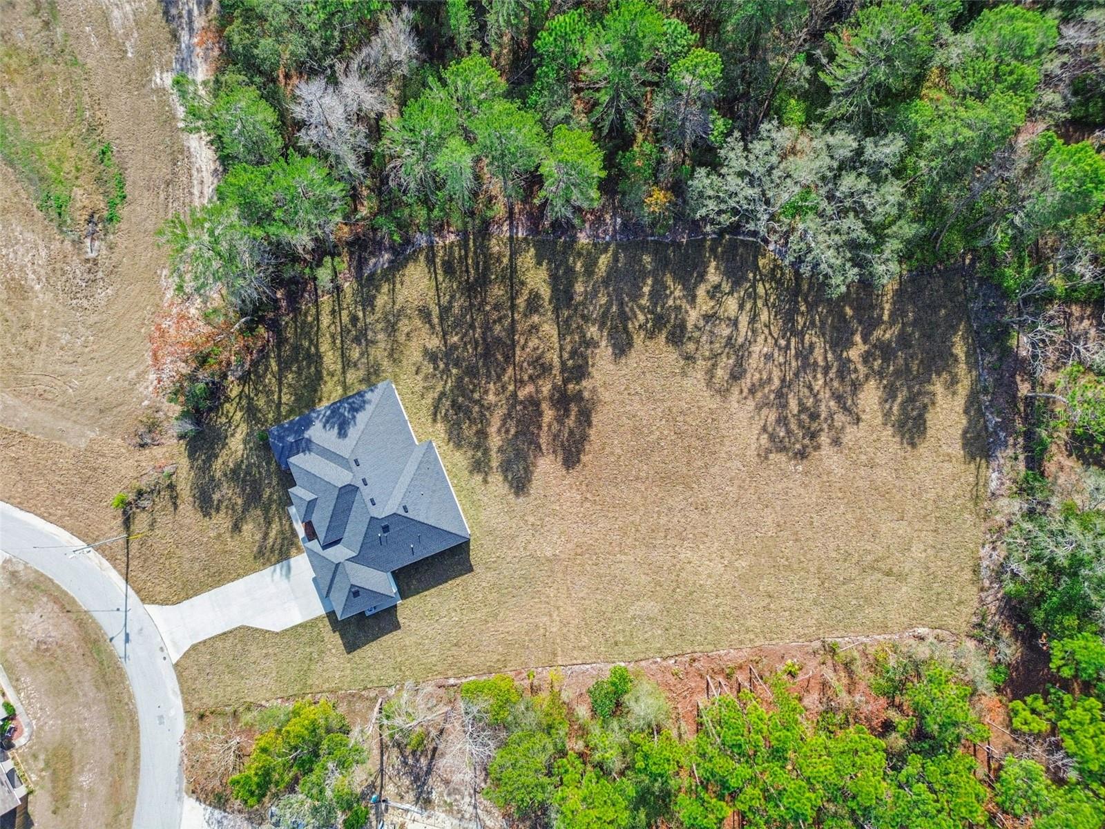 Aerial Backyard