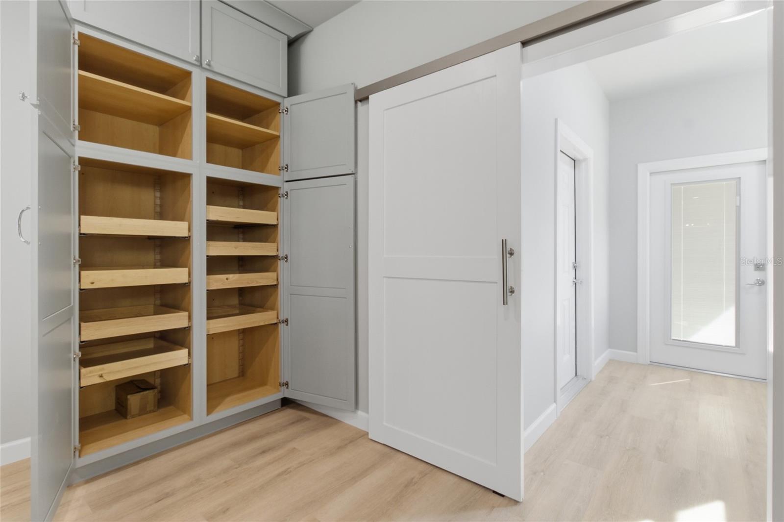 Custom Kitchen Pantry