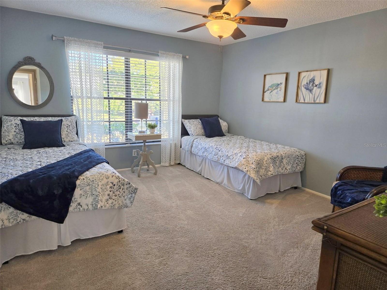 Double windows looking to the front yard~