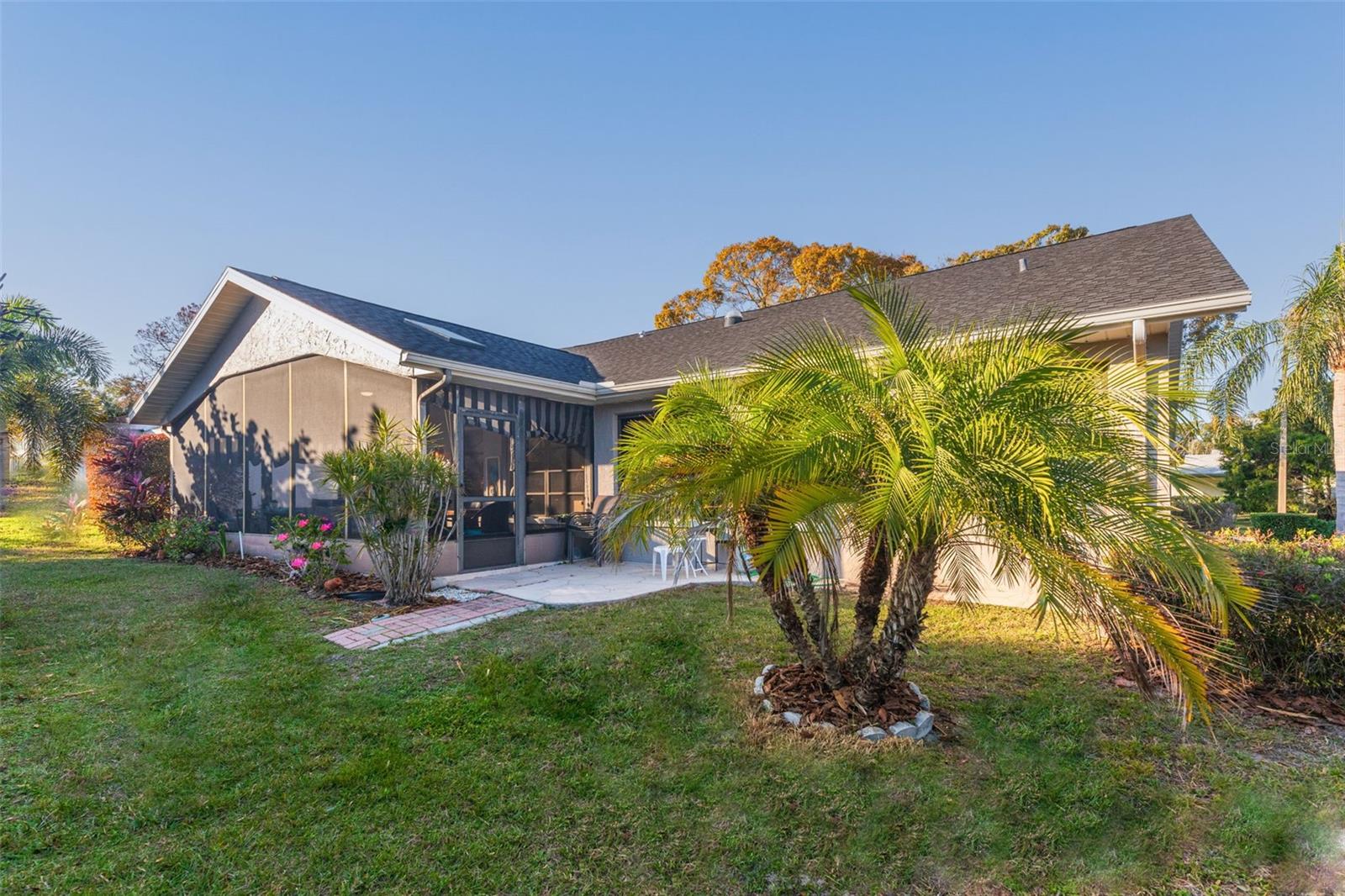 Primary suite windows behind the palm~