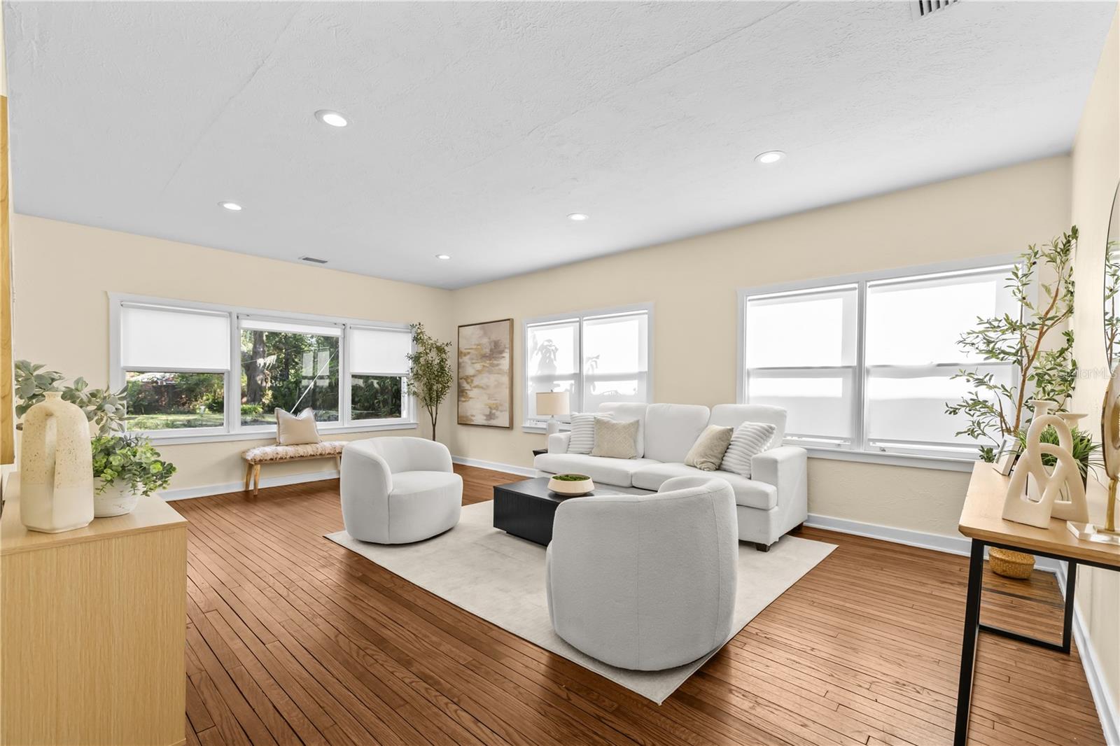 Living Room with natural light
