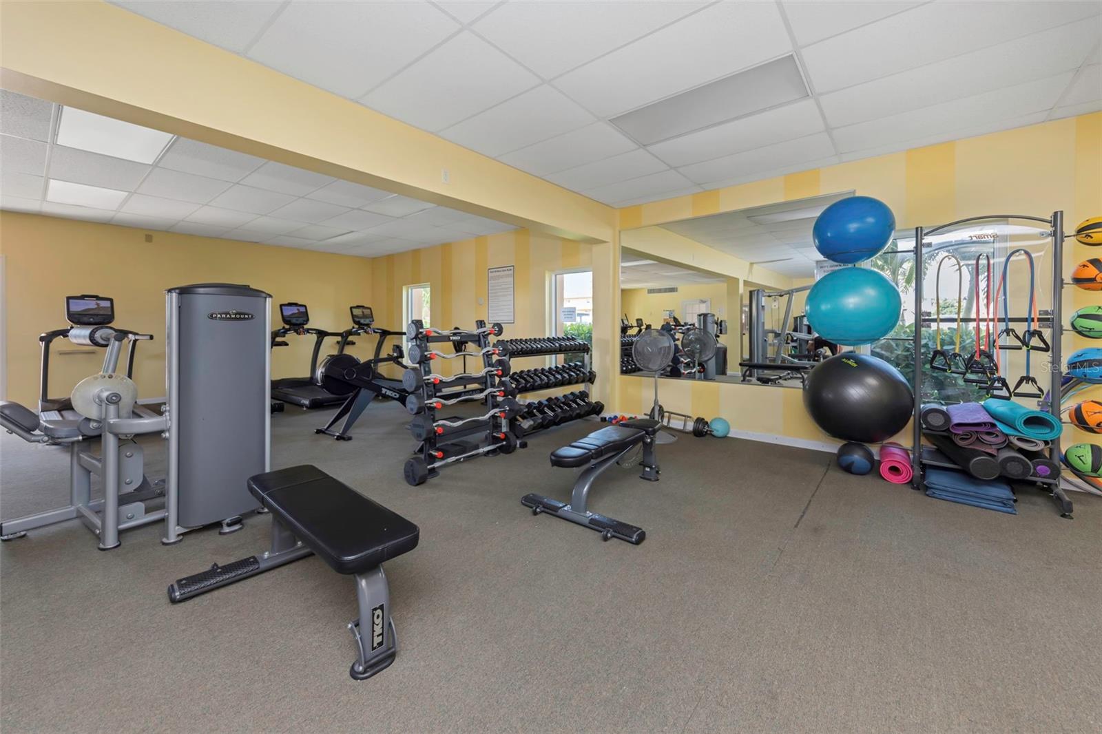 Stay Fit - Large gym