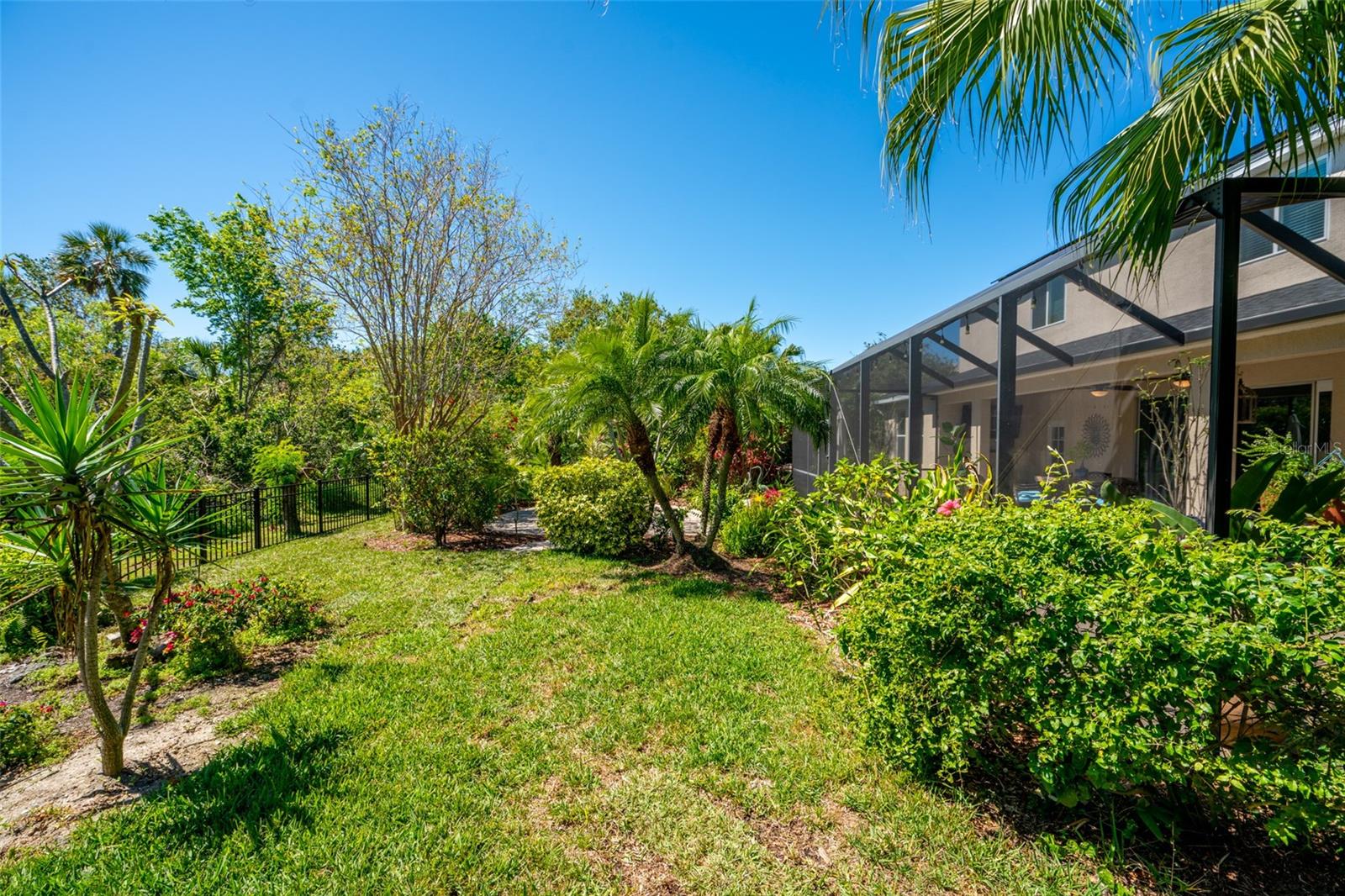 Plenty of room for dogs to run.