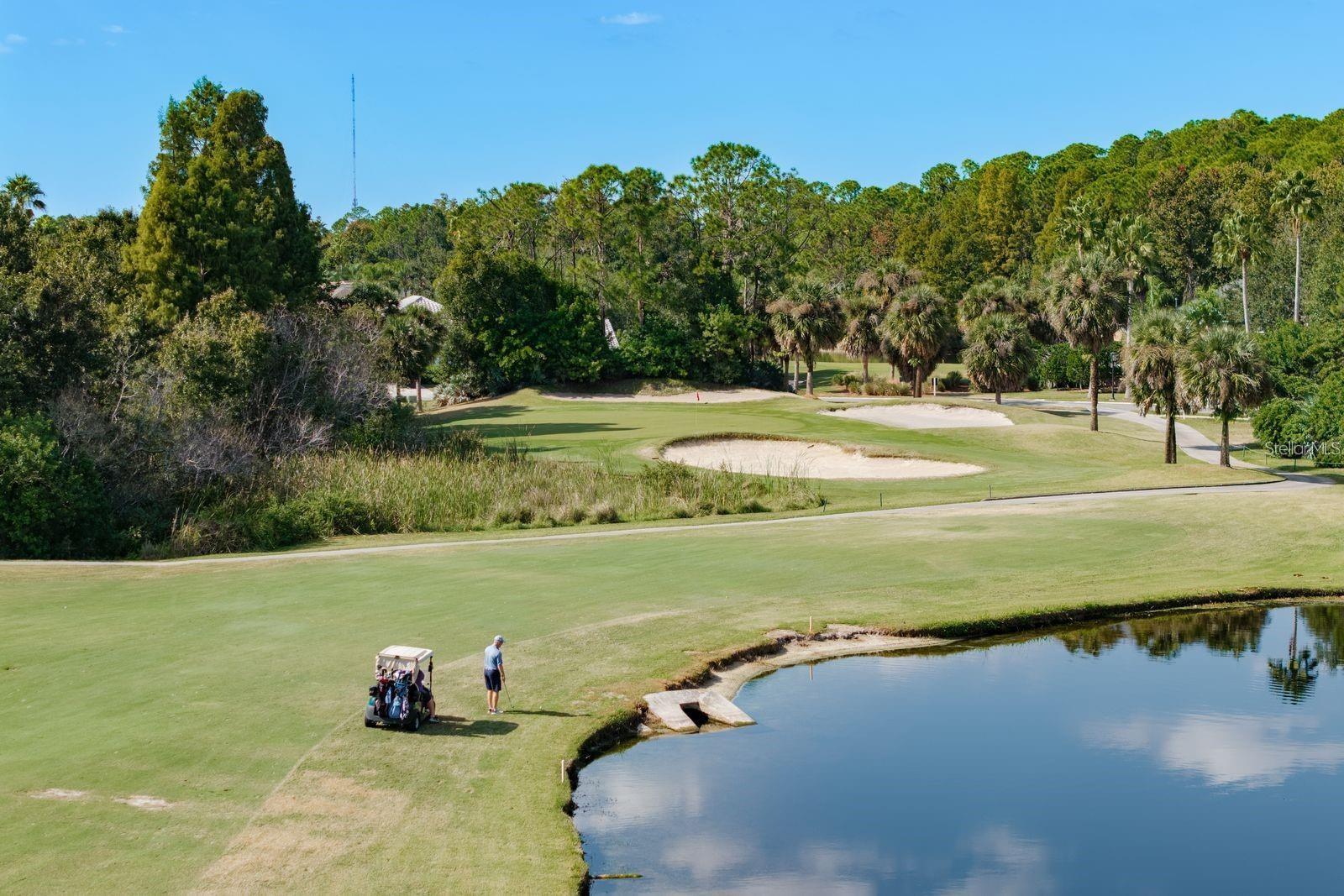 Westchase Golf Club at your back door!