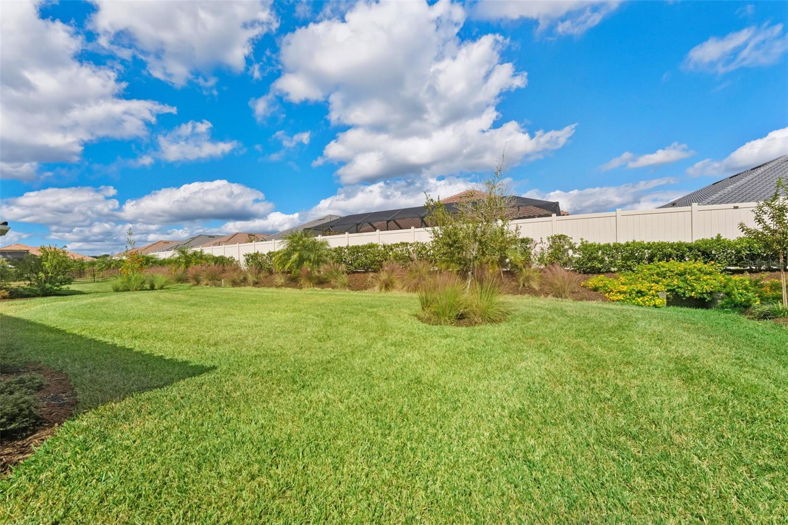 The back yard view allows for many birds to visit.