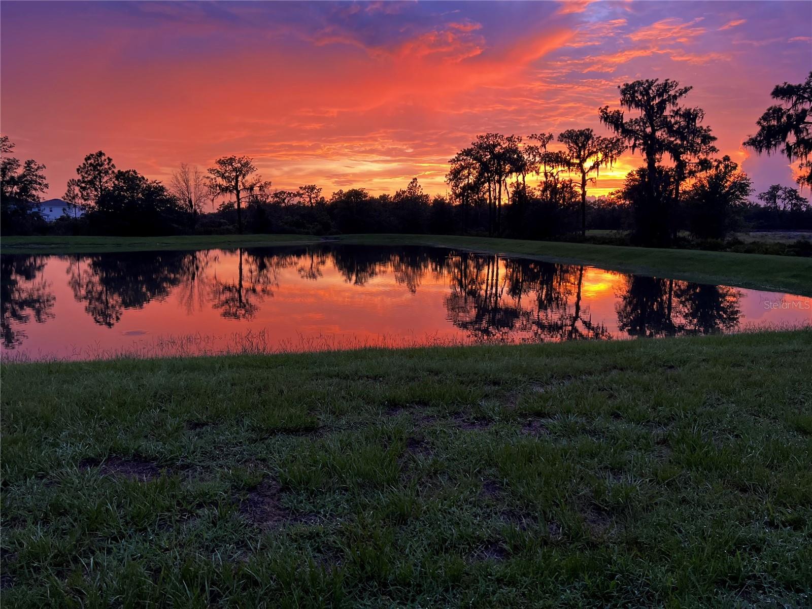 REAL Sunset from back patio