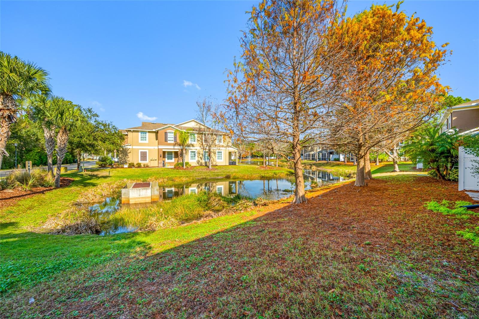 Pond View from Patio