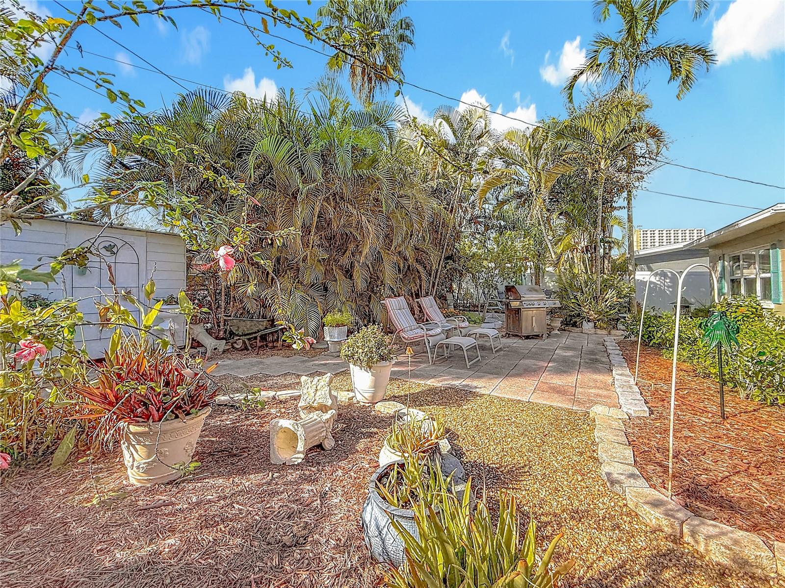 Another view of the backyard.  Look at all of the space it offers. Notice the shed in the back for storage.