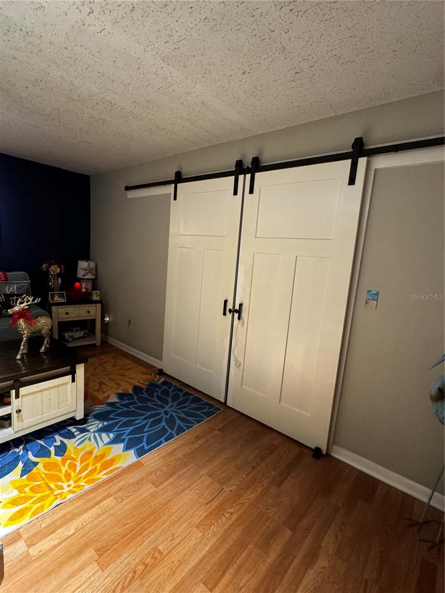 Living room barn doors