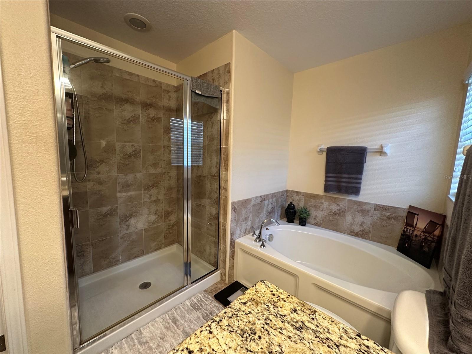 Master Bathroom Tub and Shower