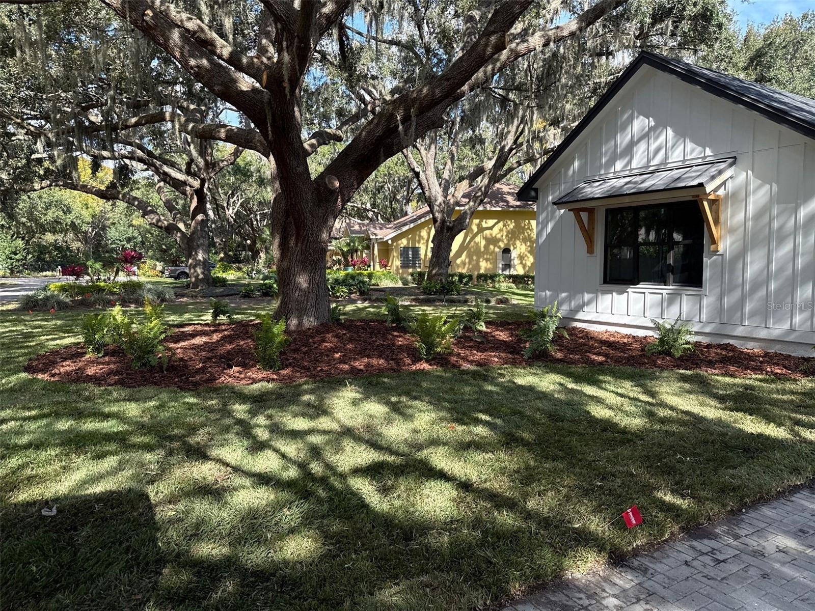 Pre construction photos - landscape December 2025