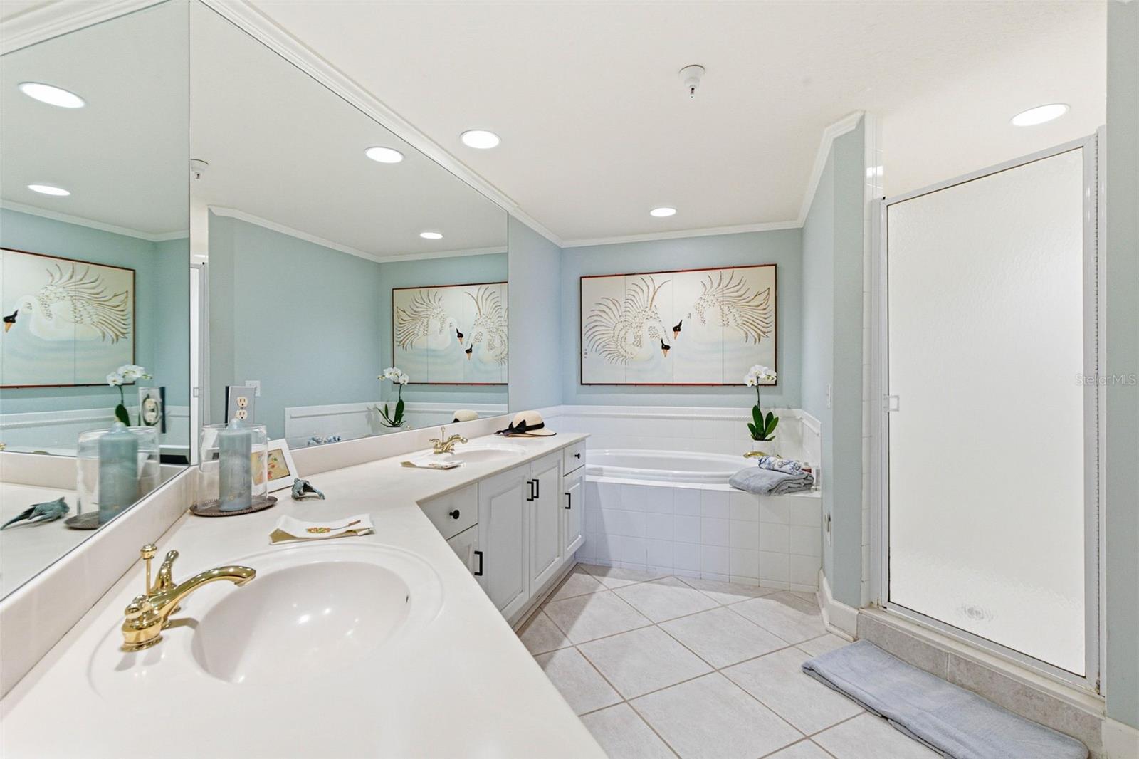 Large Primary Bath Suite