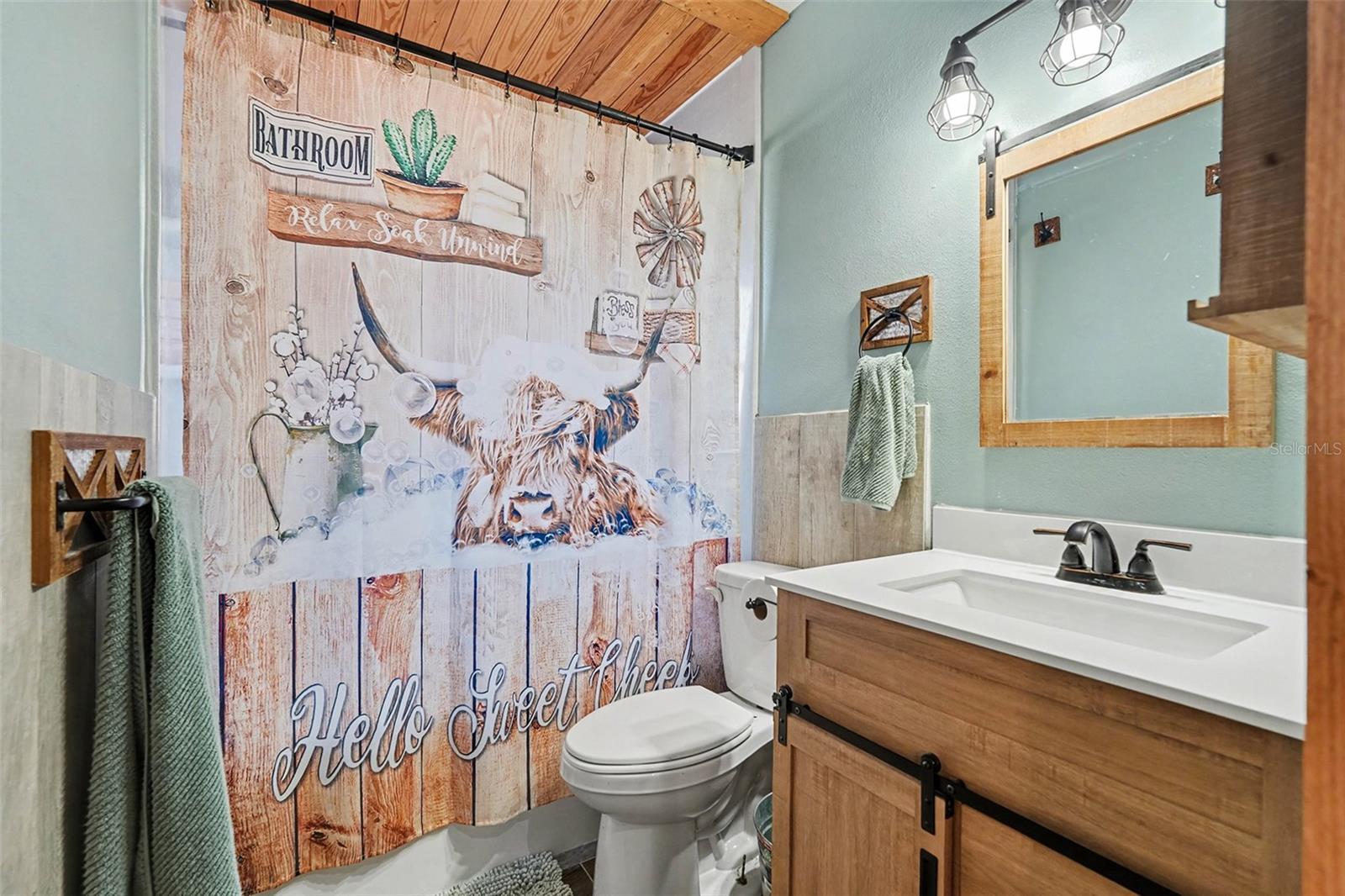 Guest bathroom with updated vanity, modern lighting, and charming design accents.