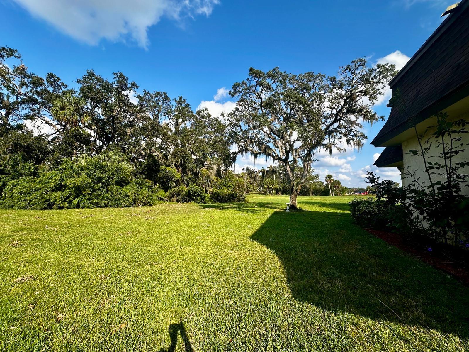 Nature Views to Left of Condo Building