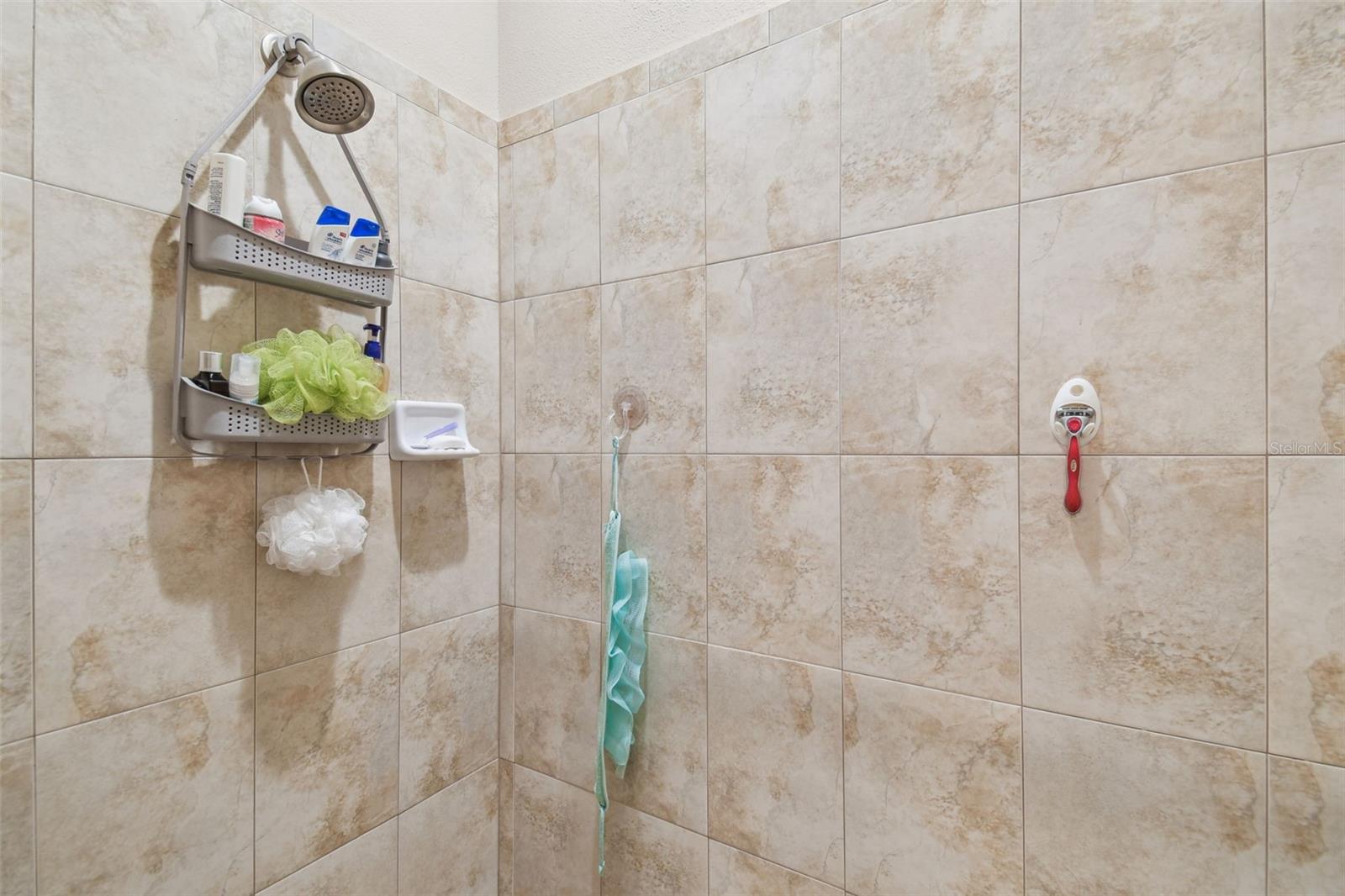 The en-suite oversized shower.