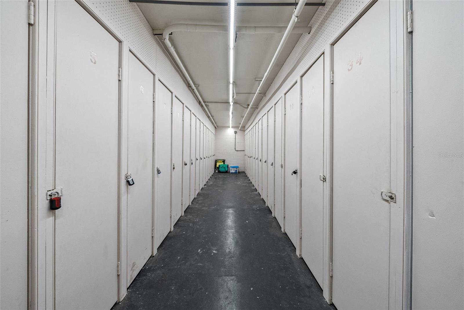 Additional Storage Unit on main floor