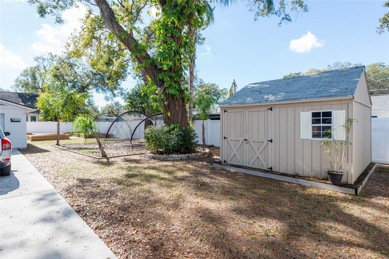 Shed and driveway area on east side