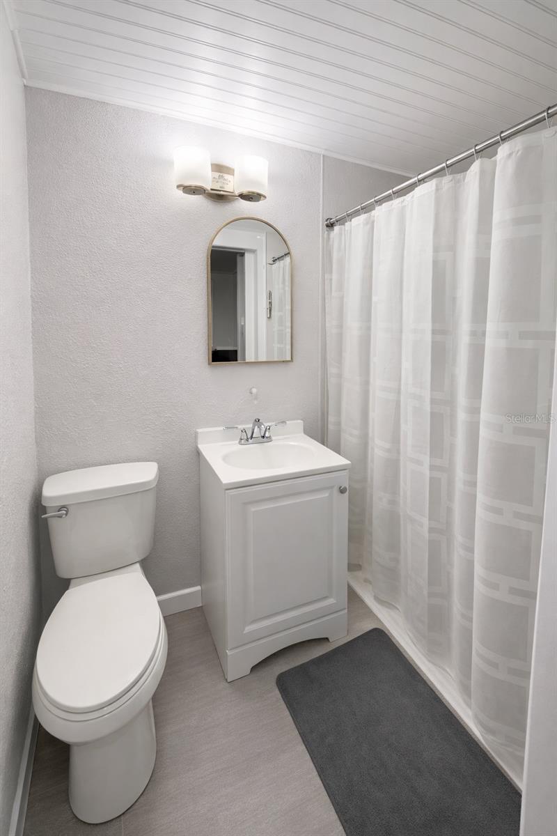 Mother-in-law Suite Bathroom
