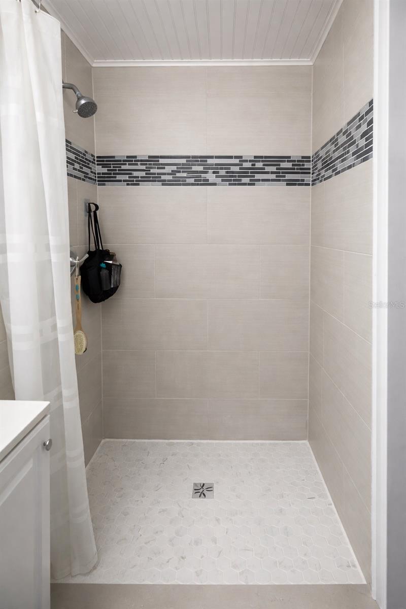 Mother-in-law Suite Bathroom