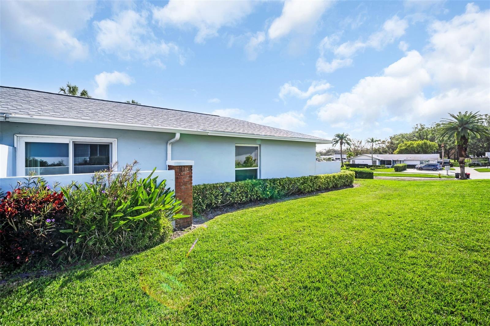 Peaceful & green backyard~