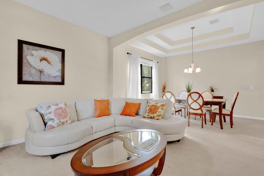 Living & Dining Room Combo