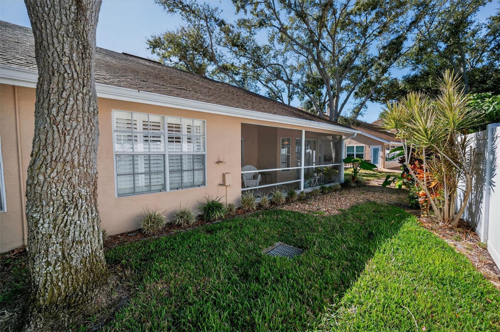 Rear of the Tonwhome