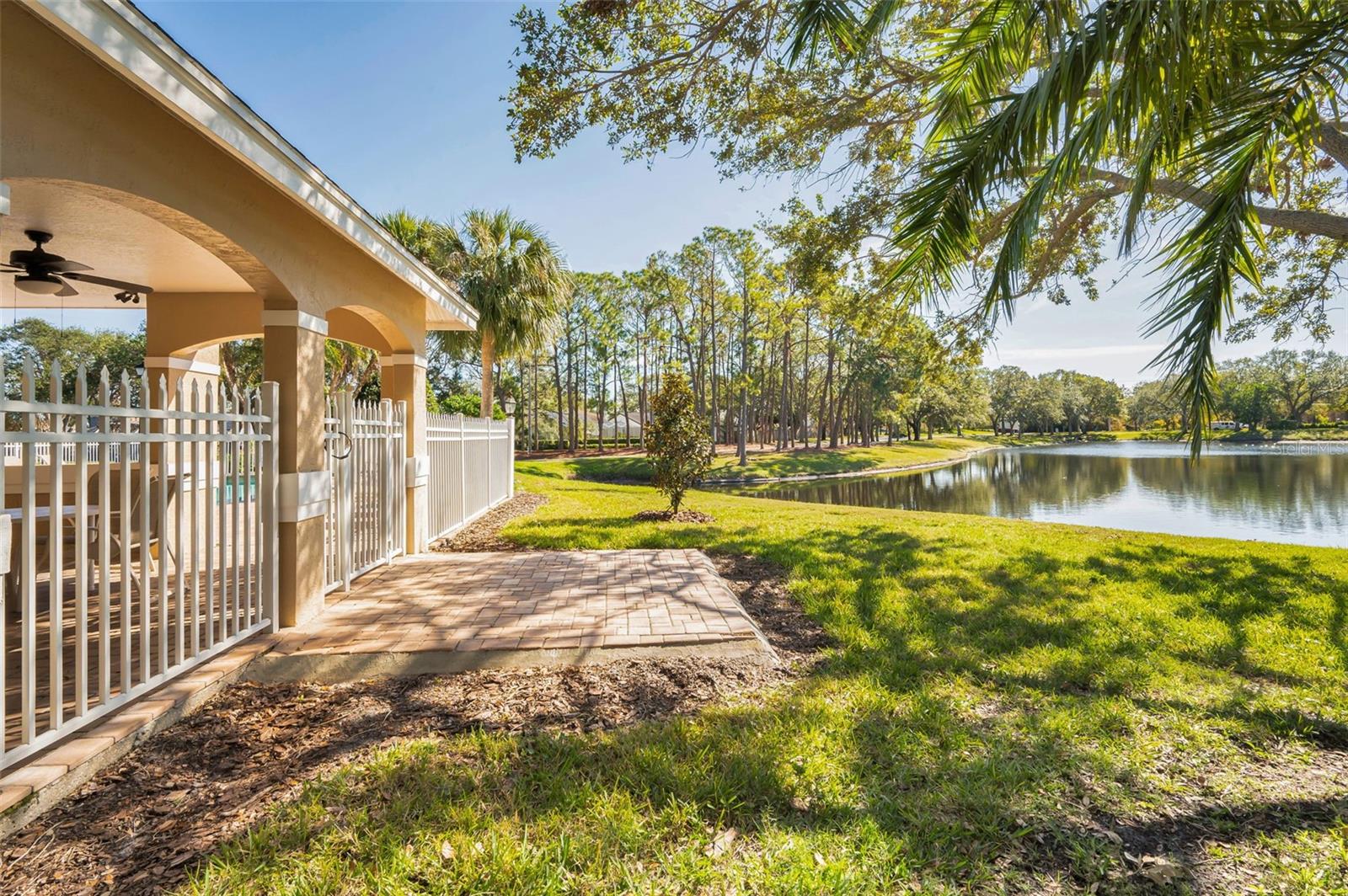 Community Pool Views