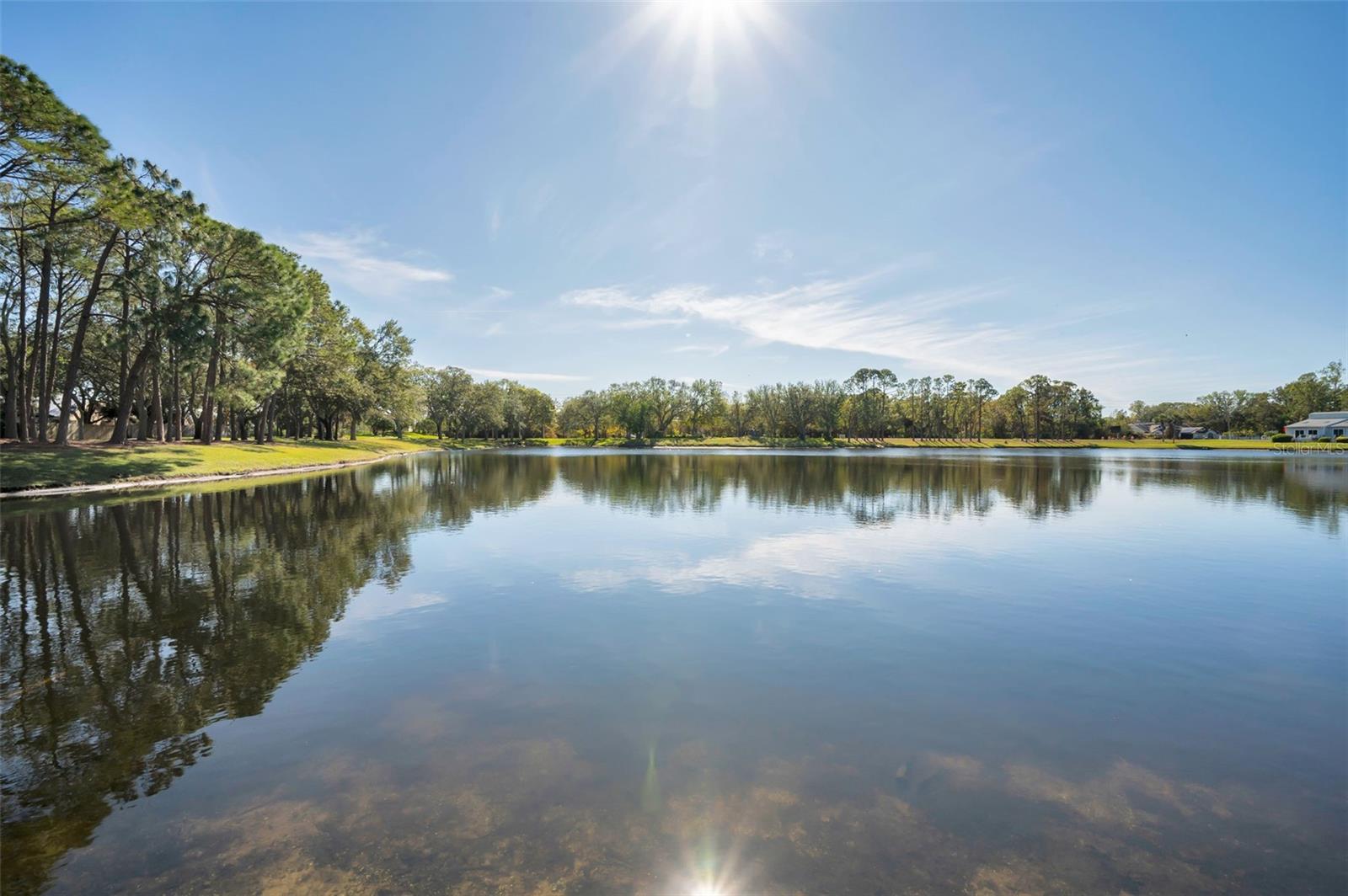 Community Pool Views