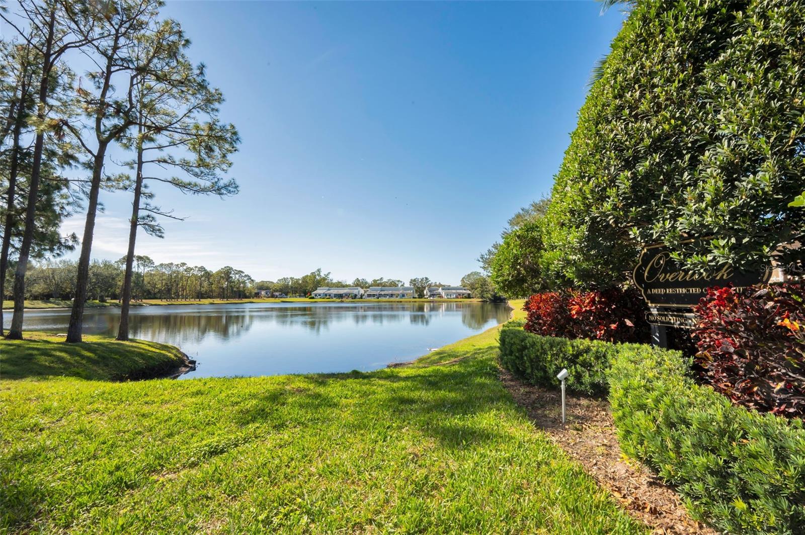 Overlook Common Area Views