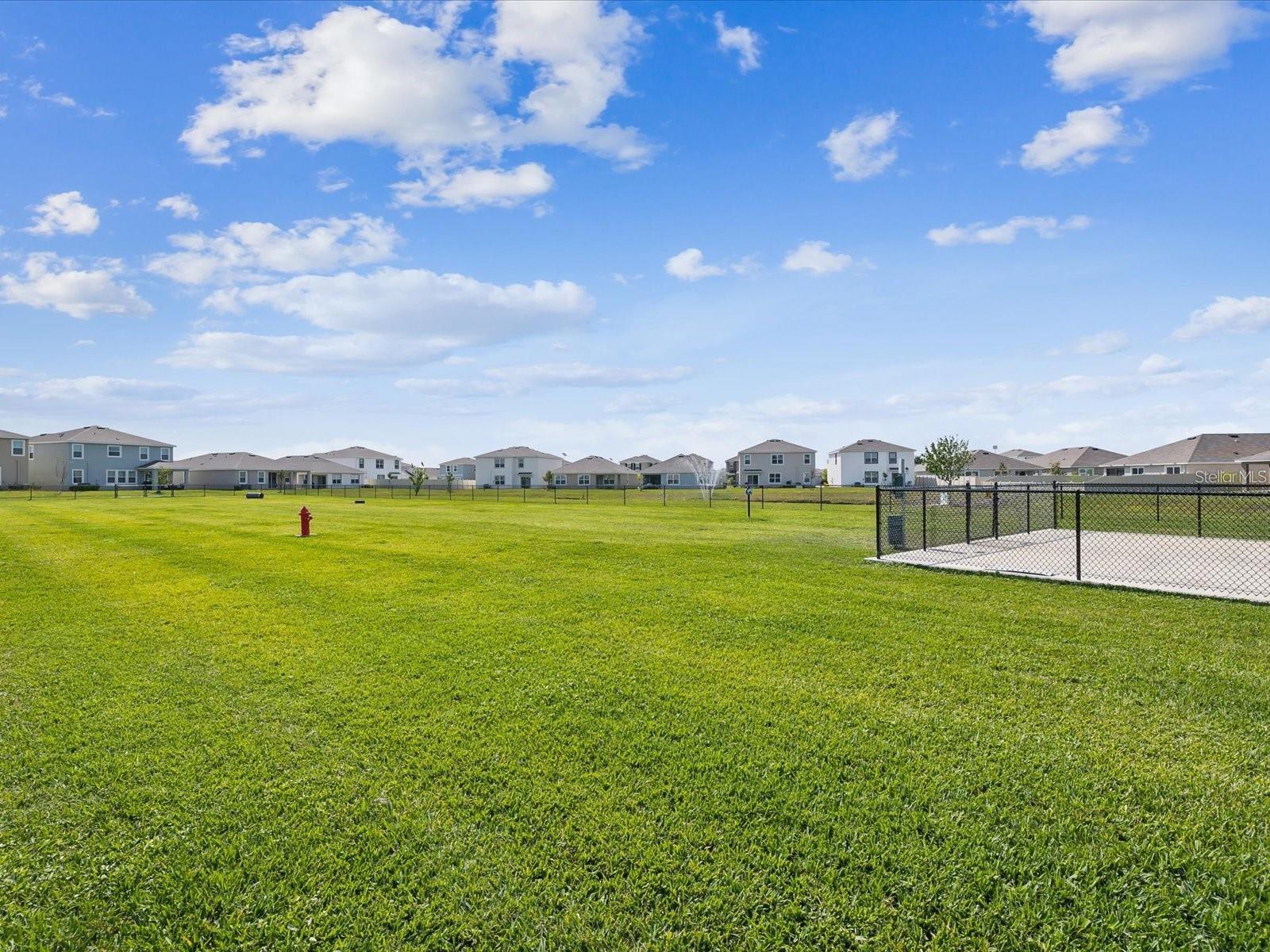 One of the dog parks