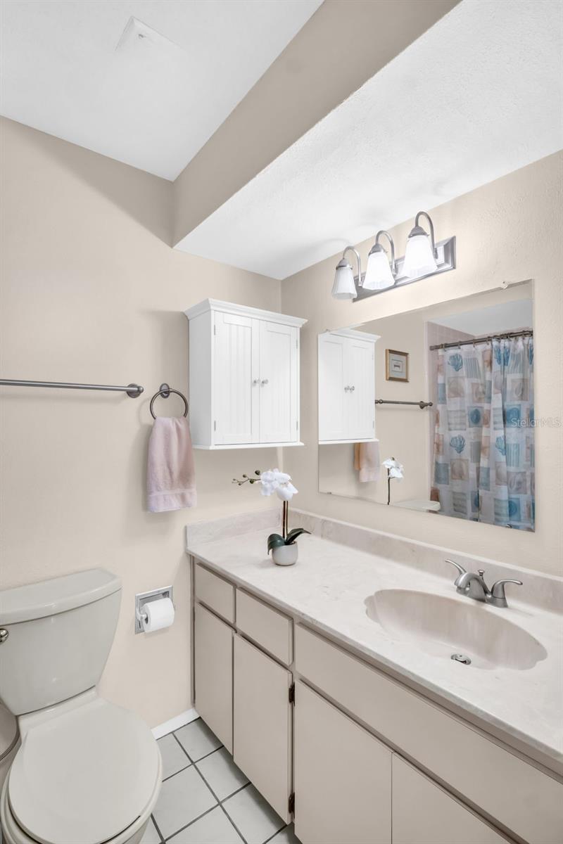 Hall bath with oversized vanity & updated lighting~
