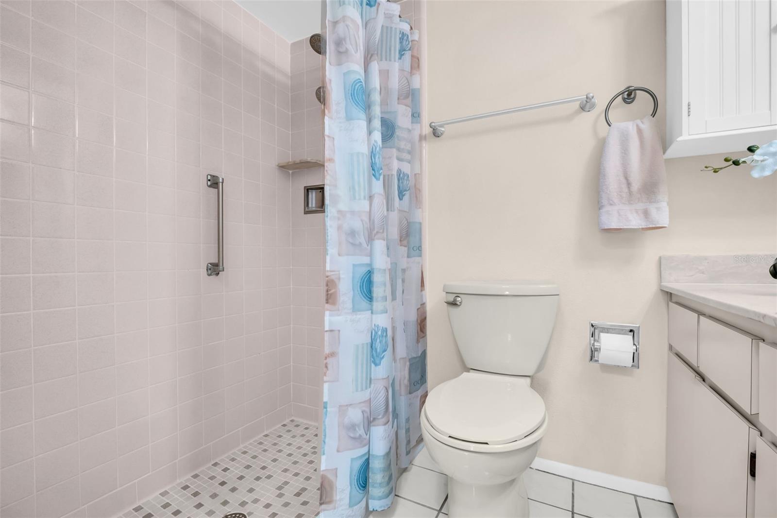 Hall bath offers a walk-in shower with grab bar for safety~
