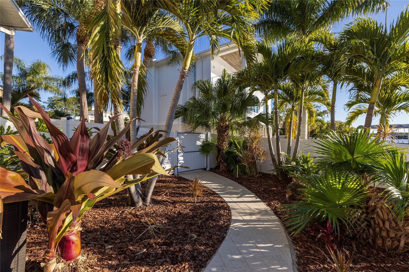 Tropical landscape abounds