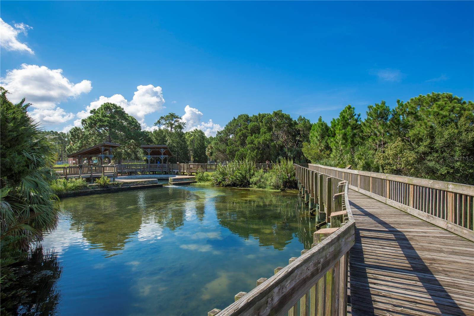 Boardwalk in Wall Springs Park.  Dog friendly and park restrooms too.  Amazing playground too! You can bike to the park via Pinellas Trail.