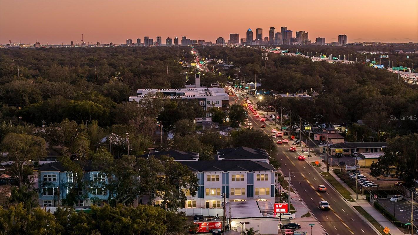 Apex at Seminole Heights